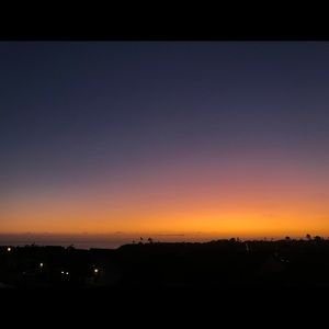 Meet your Posher, Lily